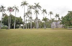 palm tree, tree, growth, sky, grass, green color, nature, building exterior, built structure, tranquility, day, architecture, tree trunk, outdoors, park - man made space, clear sky, tranquil scene, field, water, beauty in nature