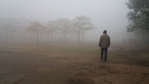 Rear view of man standing on land