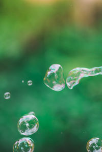 Close-up of bubbles against blurred background