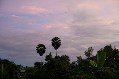 Low angle view of silhouette trees against sky at sunset