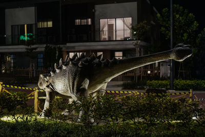 Side view of an animal against plants in city at night