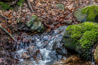 Stream flowing through rocks in forest