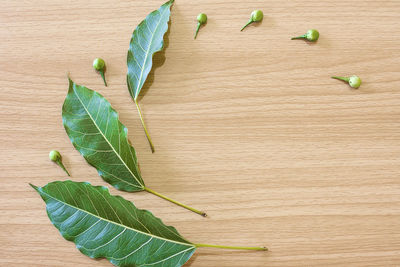 High angle view of leaves on table