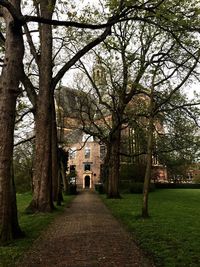 Narrow pathway along trees