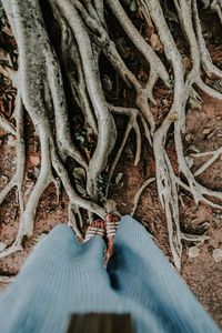 Low section of person on tree trunk