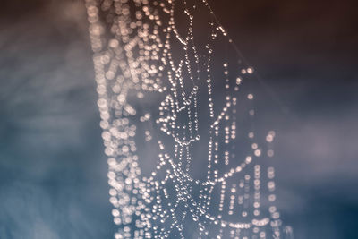 Close-up of illuminated lights hanging from glass