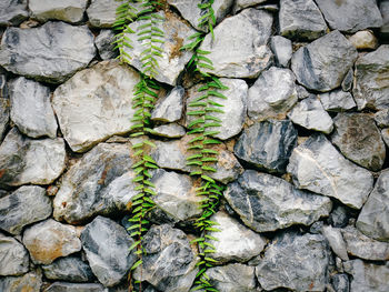 Full frame shot of stone wall