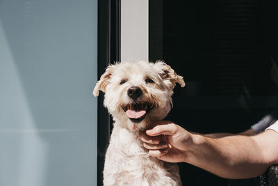 Man holding dog