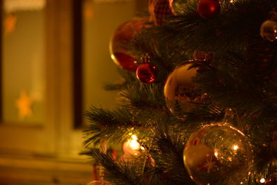 Close-up of illuminated christmas tree at night