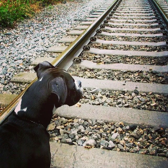 men, lifestyles, standing, high angle view, shoe, railroad track, leisure activity, low section, personal perspective, metal, stone - object, day, outdoors, unrecognizable person, person, part of, street