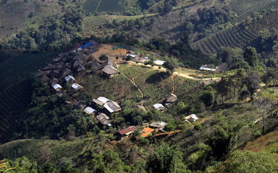High angle view of trees on landscape