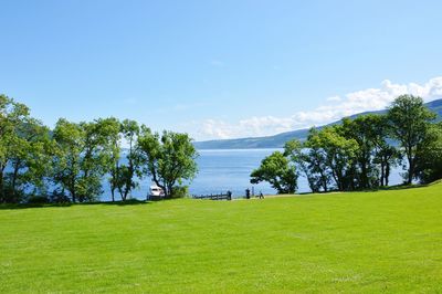 Trees on field against sky