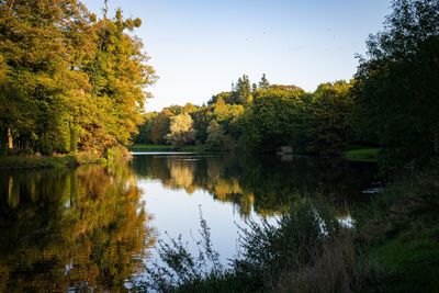 Scenic view of lake in forest against sky