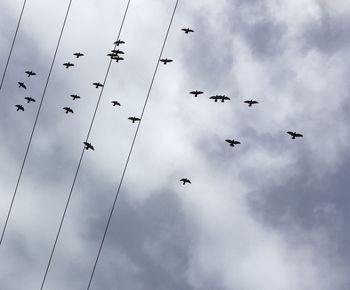 Low angle view of silhouette birds flying against cloudy sky