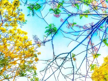 Low angle view of tree against sky