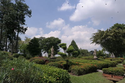 Low angle view of trees against sky