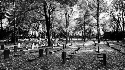 View of empty bench in park