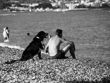 Rear view of man with dog sitting on shore at beach