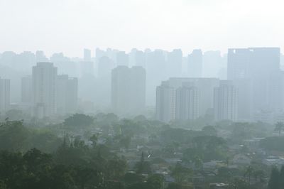 Buildings in city