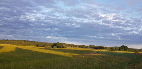 Scenic view of field against sky