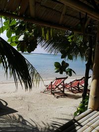 Palm tree on beach against sky