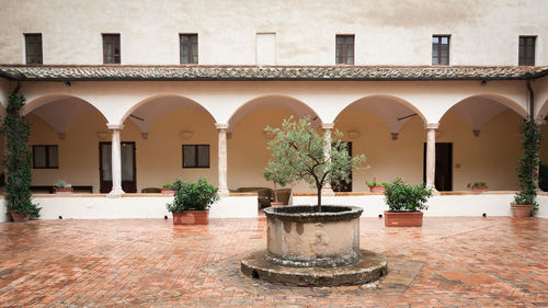 Potted plants against building