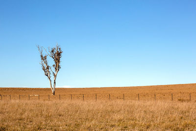 Scenic view of land against clear blue sky