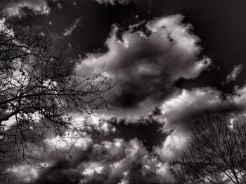 Low angle view of trees against cloudy sky