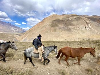 Horses on field