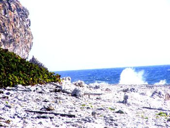 Scenic view of sea against clear sky