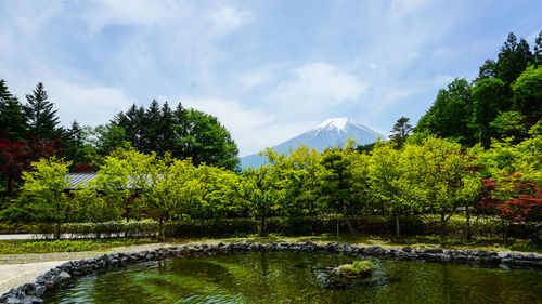 Scenic view of lake by trees against sky