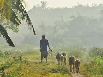 Rear view of men on field