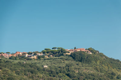 Scenic view of landscape against clear blue sky