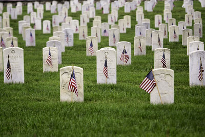 American flags on grassy field at cemetery
