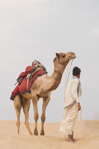 Man with camel standing at desert against sky