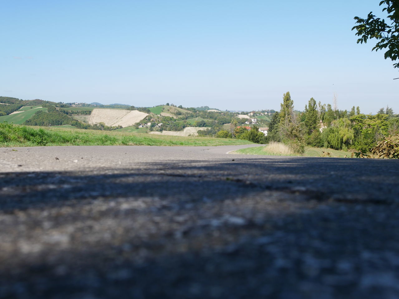 SURFACE LEVEL OF ROAD AMIDST TREES AGAINST CLEAR BLUE SKY