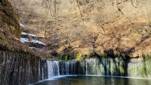 Scenic view of waterfall in forest