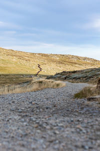 Evening view of a hiking footpath near the summit of mount kosciuszkp, snowy mountains, australia