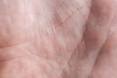 Full frame shot of hand