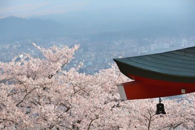 Scenic view of cherry blossom against sky