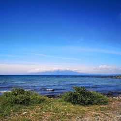 Scenic view of sea against blue sky