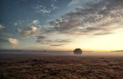 Scenic view of field against sky at sunset