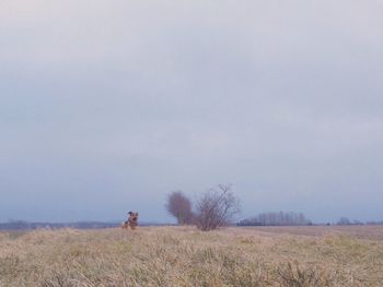 Full length of woman standing on grassy field