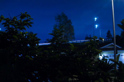 Low angle view of trees against blue sky