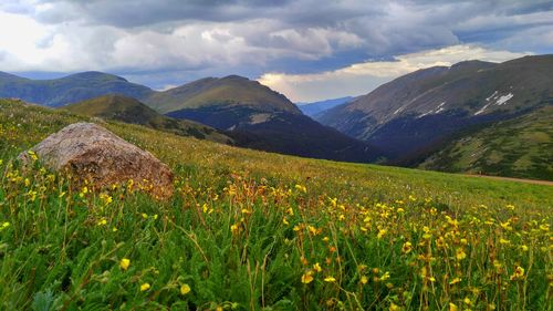 Scenic view of landscape against cloudy sky