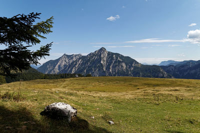 Scenic view of field against sky