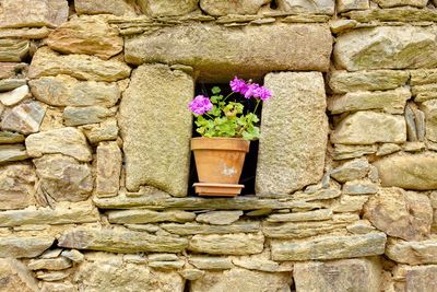 Old house wall in saint-aignan in brittany