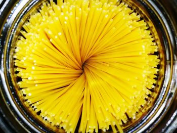 Close-up of uncooked spaghetti