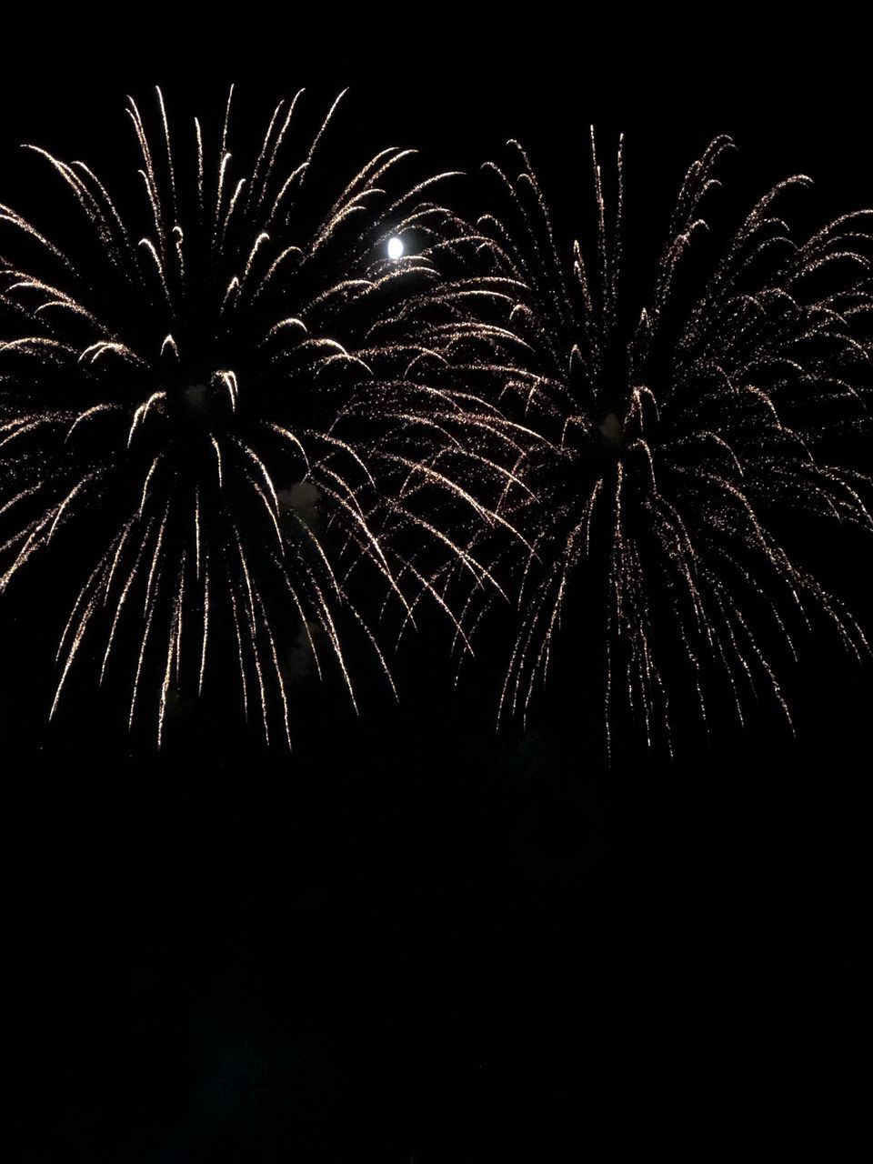 FIREWORK DISPLAY AT NIGHT