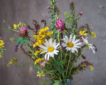 Bouquet of multicolored wildflowers, chamomile, clover and other wild flowers 